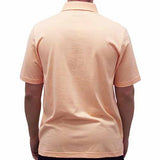 Palmland Solid Textured Short Sleeve Knit -Melon